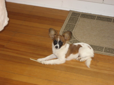 Buffy posing with rawhide November 2007